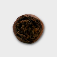 Joya de Nicaragua Joya Red Cigar - 1 Single