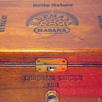 H. Upmann Coronas Chicas Cabinet (303)