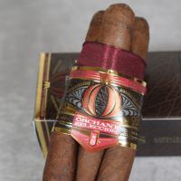 Alec Bradley Orchant Seleccion Twisty - Culebra - Cigar - Twist of 3 Cigars