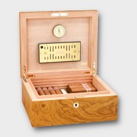 Adorini Salento Olive Burl Medium Deluxe Cigar Humidor - 75 Cigar Capacity (ADO204)