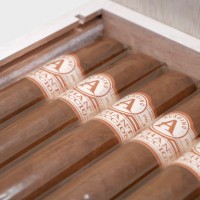 Aladino Orchant Seleccion Corona Cigar - Box of 12