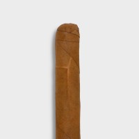 Conquistador Panatella Cigar - Bundle of 10