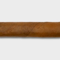 Conquistador Panatella Cigar - Bundle of 10