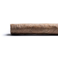 Davidoff Winston Churchill Artist Petit Corona Cigar - 1 Single
