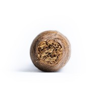Davidoff Nicaragua Diadema Cigar - 1 Single