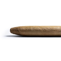 Davidoff Grand Cru Diademas Finas Limited Edition 2024 Cigar - 1 Single (End of Line)