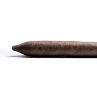 Davidoff Royal Release Salomones Cigar - 1 Single