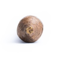 Davidoff Royal Release Salomones Cigar - 1 Single