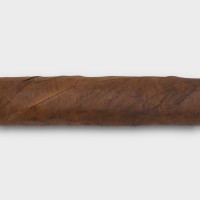 Davidoff Signature Exquisitos Cigar - Pack of 10