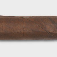 Zino Honduras Robusto Cigar - 1 Single