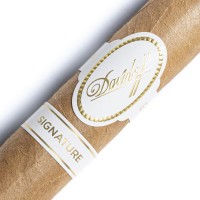 Davidoff Signature 6000 Robusto Cigar - 1 Single