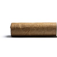 Davidoff Signature 6000 Robusto Cigar - 1 Single