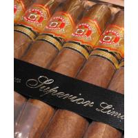 Arturo Fuente Don Carlos Robusto Cigars - Box of 15
