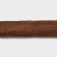 Warped Isla Cocodrilo Corona Gordos Cigar - 1 Single