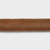 Plasencia Dominique Seleccion 2026 Exclusive Lancero - Box of 25