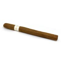 Davidoff Signature Ambassadrice Cigar - 1 Single (Discontinued)