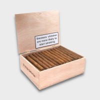 Dutch Label Wilde Senoritas - Box of 50