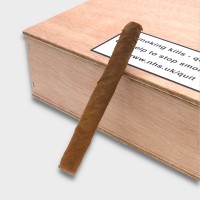 Dutch Label Wilde Senoritas - Box of 50