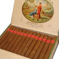 Gispert consul - 25s