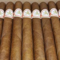 Hoyo de Monterrey Maravillas Limited Edition 2015 Habano Colleccion - Book of 20