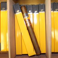 Cohiba Humidor - Partagas 170th Anniversary