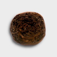 Kristoff Shade Grown Robusto Cigar - 1 Single