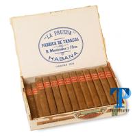 La Prueba Short Corona
