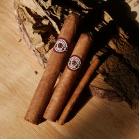 Montecristo Collection Cigar Sampler - 3 Cigars