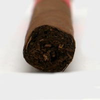 Plasencia Orchant Seleccion 2026 Exclusive Toro Cigar - 1 Single