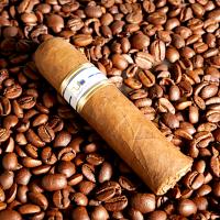 NUB by Oliva Cameroon 460 Cigar - 1 Single