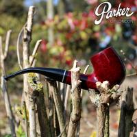 Parker Knight Bent Billiard Metal Filter Fishtail Pipe (PAR194)