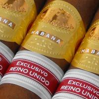 Por Larranaga Regalias de Londres 2010 (UK Regional Cigar) - 1s