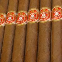 Punch Petit Coronas Cigar - Box of 25