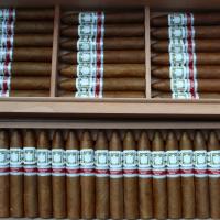 Limited Edition Ramon Allones Short Perfectos Humidor - 40 Cigars