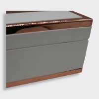 Empty Rocky Patel White Label Robusto Box