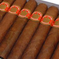 Saint Luis Rey Exquisitos 1998