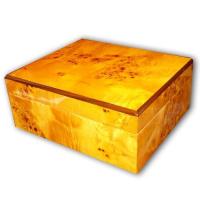 Sombre Humidor - Light Gloss Burl - 25 Cigars Capacity