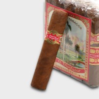 Tatuaje Triunfador Petit Robusto Cigar - Bundle of 25