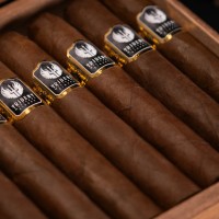 Trident Military Cigars The Bren Robusto Cigar - Box of 10