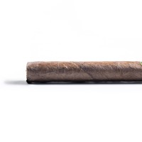 Eagle by Rocky Patel Churchill Cigar - 1 Single