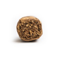 Casa Turrent 1880 Claro Double Robusto Cigar - 1 Single