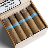 Chinchalero Novillo Torpedo Cigar - Box of 20