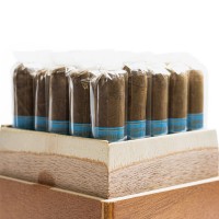 Chinchalero Esportivo Cigar - Box of 25