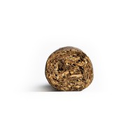Conquistador Petit Corona Maduro Cigar - 1 Single