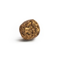 CigarKings Coronita ft Maduro Cigar - 1 Single