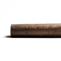 CLE Asylum 13 Hercule Cigar - 1 Single