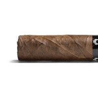 CLE Asylum 13 Short Corona Cigar - 1 Single