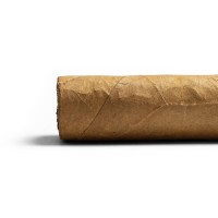 Chinchalero Novillo Torpedo Cigar - 1 Single