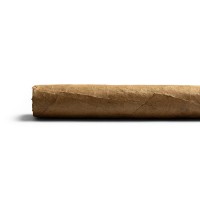 Chinchalero Torpeditos Cigar - 1 Single