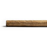 Chinchalero Esportivo Cigar - 1 Single